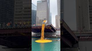 Why America Throws 90 Thousand Ducks In Water 😱 [upl. by Nytram811]