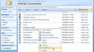 SharePoint Intranet Overview [upl. by Roti]