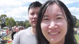 Vlog 1Oct Nov Maroondah Festival 红烧鱼豆腐 [upl. by Tubb221]