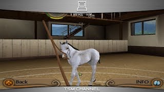 My Riding Stables  Life With Horses part 6 Horse Game [upl. by Clementas888]