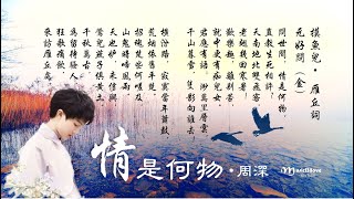 🌏 周深 《 問世間情是何物》直教生死相許 （ 詞：元好問 • 金朝）Zhou Shen ♥♪♫• [upl. by Arymat823]