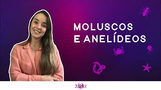 MOLUSCOS E ANELÃDEOS  ZOOLOGIA I Prof Louise Medeiros [upl. by Eidnam]