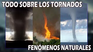 Tipos de tornados que existen  Fenómenos Naturales [upl. by Joyce]