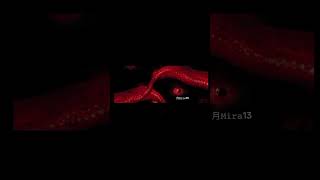 Lets play Homicipher homicipher horrorgaming shorts tentacles [upl. by Ulrika]