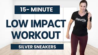 Low Impact Beginner Friendly Workout  Silversneakers 15 minutes Cardio Weights [upl. by Attesoj]