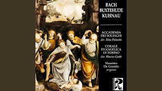 Gelobet seist du Jesu Christ BWV 604 [upl. by Mccall665]