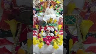 Shri Krishna sharanam mamah  havelikirtan [upl. by Haisej]