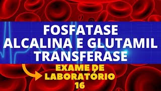 FOSFATASE ALCALINA E GAMA GLUTAMIL TRANSFERASE  ALTERAÇÕES ENZIMAS HEPÁTICAS [upl. by Aciretehs]