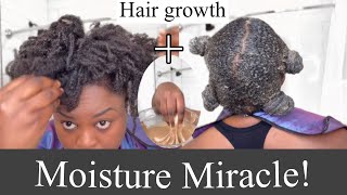 Best Amla Recipe for Hair growth amp Moisture  BeforeAfter [upl. by Karole]