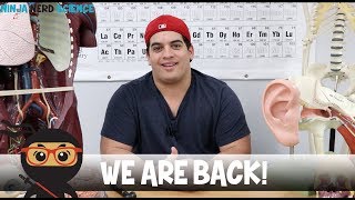 WE ARE BACK [upl. by Bernstein]