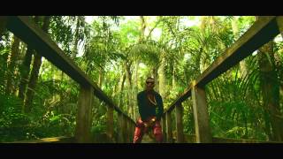 WizKid Feat Femi Kuti  Jaiye Jaiye Official Video [upl. by Orelie]