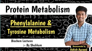 Phenylalanine amp Tyrosine Metabolism  Protein Metabolism Biochemistry Lectures [upl. by Ailyn]