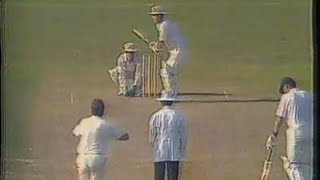 AUS V ENG 1987  WORLD CUP FINAL  Bonus commentary Munir Hussain Iftikhar Majid Khan Asif Iqbal [upl. by Ettenhoj]