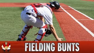 Catching 101  Baseball Catchers Fielding Bunts [upl. by Otrebor]