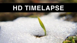 Time lapse of Snow melting HD [upl. by Blatman229]