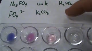 Phosphate Anion Test for Qual Lab [upl. by Analiese783]