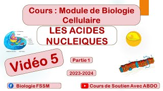 Biologie Cellulaire BCG S1  Partie des Acides Nucléiques [upl. by Attenal784]