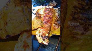 Siakap Bakar bbq ikanbakar grill menu camping food shorts [upl. by Anirt]