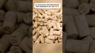 Le processus de fabrication des bouchons de vin‼️🤯🤯 bouchon wine plug découverte pourtoi fyp [upl. by Miun515]