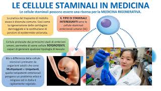 LE CELLULE STAMINALI [upl. by Ohce]