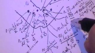 NEUROANATOMIA 20 TALLO CEREBRAL PUENTE Configuracion Interna [upl. by Nims]