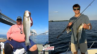 Chesapeake Bay Fishing Report June 29th 2024 [upl. by Enisaj]