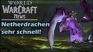 Netherdrachen Mount schnell  Während Zeitwanderung schnell Netherschwingen Ruf farmen  WoW News [upl. by Haissem]