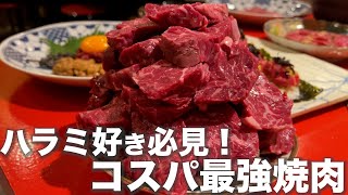 【名古屋焼肉】ハラミが旨すぎるコスパ最強焼肉！ [upl. by Martell]