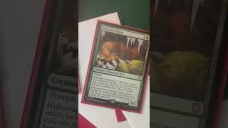 Trash Panda 😍🦝 mtg mtgcommander mtgcommunity racoons bloomburrow [upl. by Orfield]