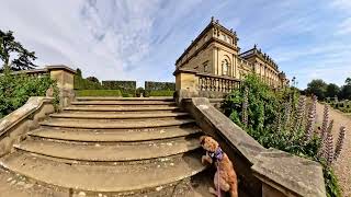 Harewood House Leeds Visit with Doggies 🐶🐾😊 [upl. by Esinev]