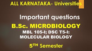 Important questionsBSc MICROBIOLOGY  MOLECULAR BIOLOGY  5TH Semester  KARNATAKA Universities [upl. by Ritter]