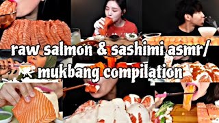 raw salmon amp sashimi asmrmukbang compilation [upl. by Atnuahc772]