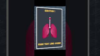 Name that lung sound medicaleducation respiratorymedicine lungsounds auscultation medical quiz [upl. by Day60]