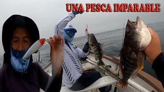 ESTA PESCA DE CABRILLA FUE IMPARABLE  Tablita Fishing [upl. by Leroy]