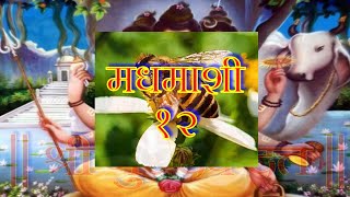 Guru24  12 मधमाशी Madhmashi [upl. by Asek]