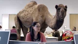 Hump Day Blues with the GEICO Camel [upl. by Chrisse]