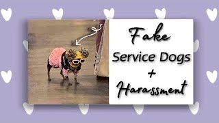 SERVICE DOG HARASSMENT COMPILATION [upl. by Riamu]