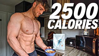 Full Day Of Eating 2500 Calories  Realistic amp Tasty Meals [upl. by Horatius]