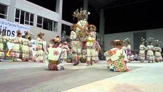 Danza huichol Tepic Nayarit Mexico 2012 Dance [upl. by Rubenstein]