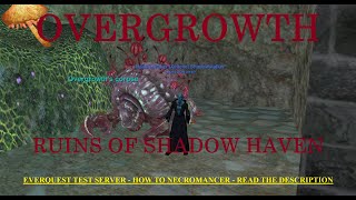 Night of Shadows  Overgrowth  Ruins of Shadow Haven T2  How to EverQuest Necromancer [upl. by Normac]