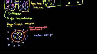 Diffusion and Osmosis in Bangla [upl. by Aicilegna]