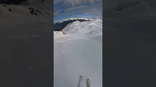 Dont forget this EPIC Powder run skiing [upl. by Fesoj]