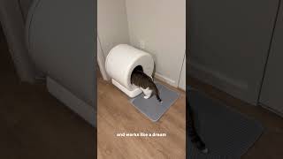 Meaowant  Self cleaning litter box [upl. by Ahsitam321]