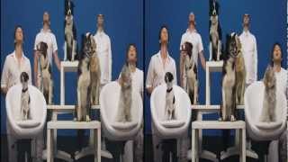 OK Go  White Knuckles  Official 3D Video [upl. by Hildagarde]