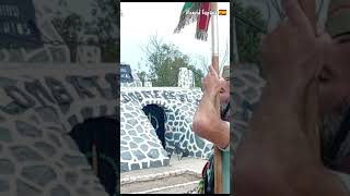 Los Legionarios Cantan con Orgullo el Novio de la Muerte [upl. by Adara243]