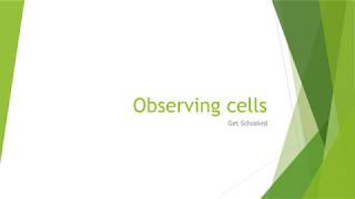 KS3 Biology  Observing Cells [upl. by Merrow]