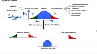 07 Types of Selection [upl. by Manella]