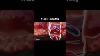 Process of blood clotting [upl. by Nnylakcaj602]