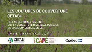 Cultures de couverture en production maraîchère biologique sans travail de sol  CETAB [upl. by Nyladgam]