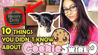 Cookie Swirl C 🍪 10Things You Didnt Know About The SHOPKINS Queen👑 [upl. by Lonnard]